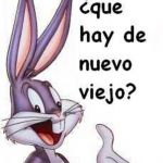 ¿Quehay denuevo?
