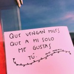 Alexani Ruiz